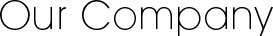 Our Company
